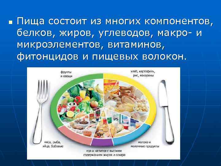 n  Пища состоит из многих компонентов, белков, жиров, углеводов, макро- и микроэлементов, витаминов,