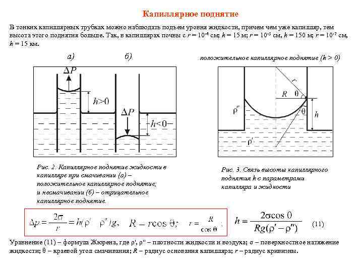      Капиллярное поднятие В тонких капиллярных трубках можно наблюдать подъем