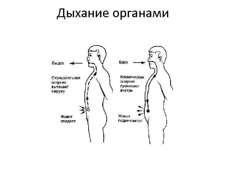 Дыхание органами 