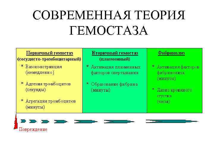 Гормональный гемостаз схема