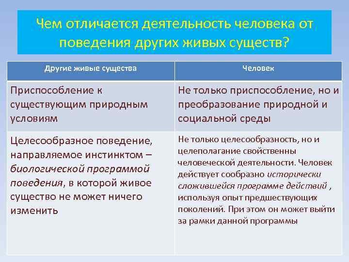   Чем отличается деятельность человека от  поведения других живых существ?  Другие