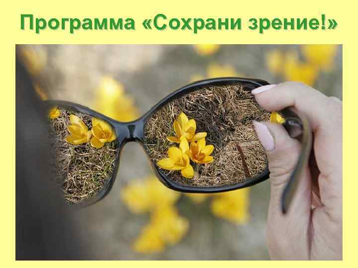 Программа «Сохрани зрение!» 