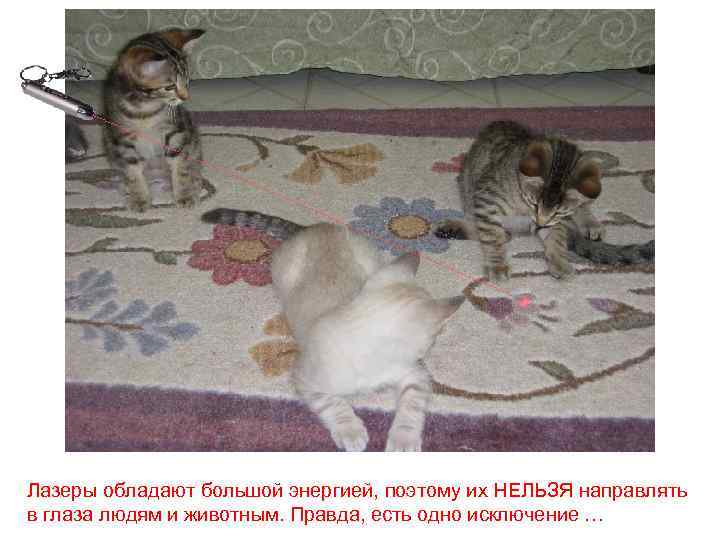 Лазеры обладают большой энергией, поэтому их НЕЛЬЗЯ направлять в глаза людям и животным. Правда,