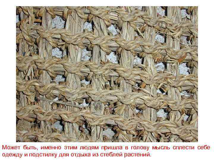 Может быть, именно этим людям пришла в голову мысль сплести себе одежду и подстилку