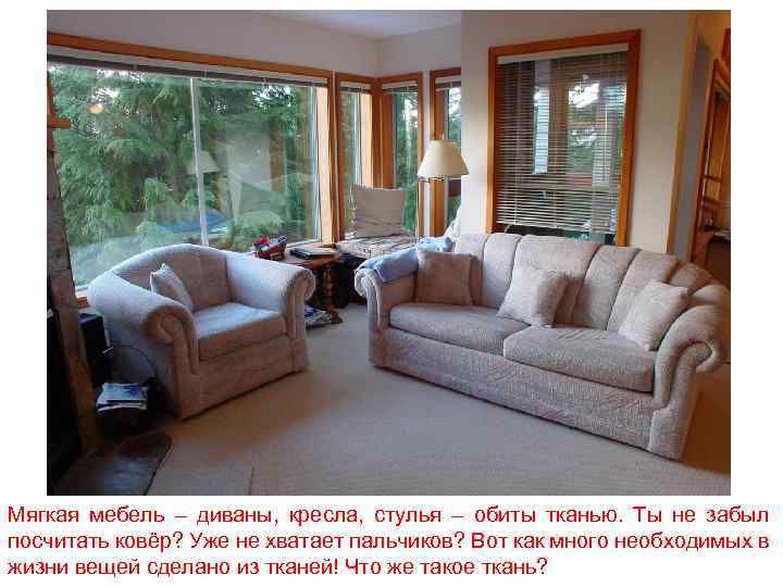 Мягкая мебель – диваны, кресла, стулья – обиты тканью. Ты не забыл посчитать ковёр?