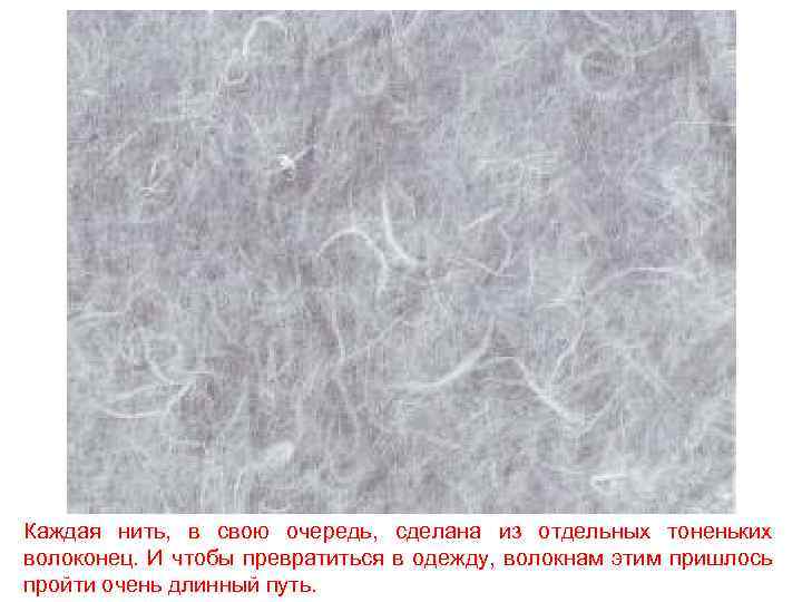 Каждая нить, в свою очередь, сделана из отдельных тоненьких волоконец. И чтобы превратиться в