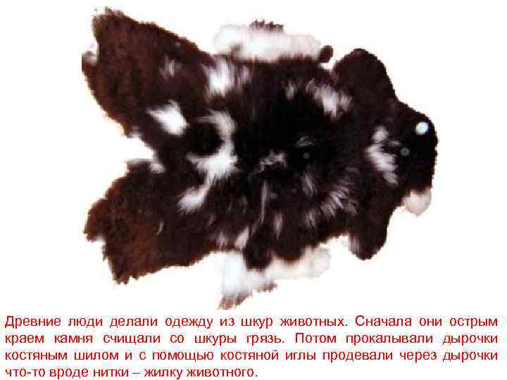Древние люди делали одежду из шкур животных. Сначала они острым краем камня счищали со