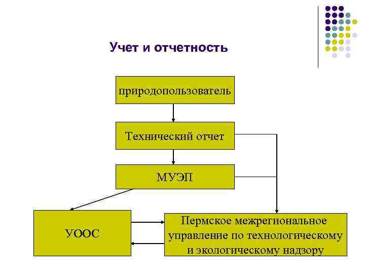   Учет и отчетность  природопользователь  Технический отчет   МУЭП 
