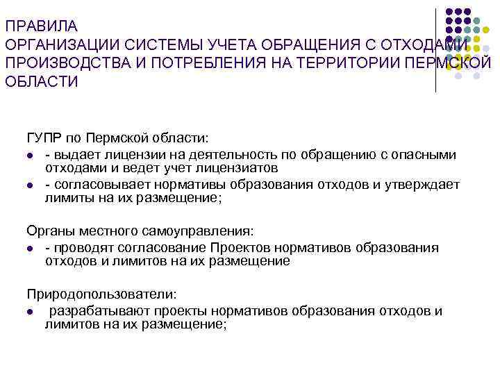 ПРАВИЛА ОРГАНИЗАЦИИ СИСТЕМЫ УЧЕТА ОБРАЩЕНИЯ С ОТХОДАМИ ПРОИЗВОДСТВА И ПОТРЕБЛЕНИЯ НА ТЕРРИТОРИИ ПЕРМСКОЙ ОБЛАСТИ