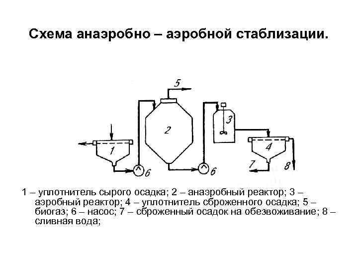  Схема анаэробно – аэробной стаблизации. 1 – уплотнитель сырого осадка; 2 – анаэробный