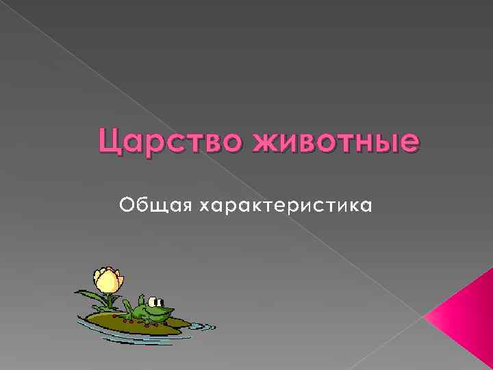 Царство животные Общая характеристика 