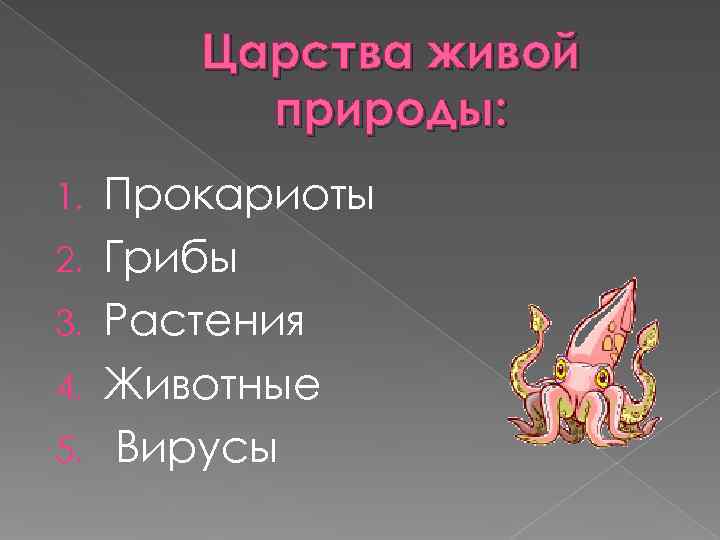   Царства живой  природы: 1.  Прокариоты 2.  Грибы 3. 