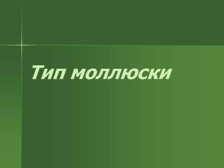 Тип моллюски 