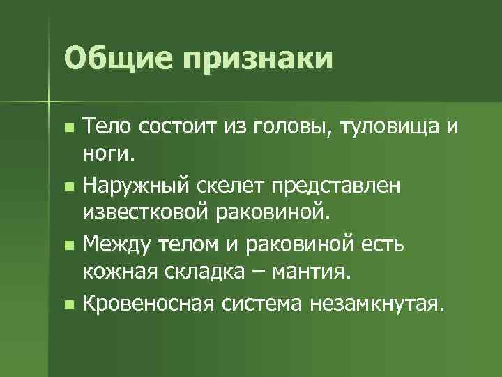 Общие признаки n Тело состоит из головы, туловища и  ноги. n Наружный скелет