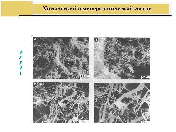 Химический и минералогический состав И Л Л И Т Химический и минералогический состав И Л Л И Т