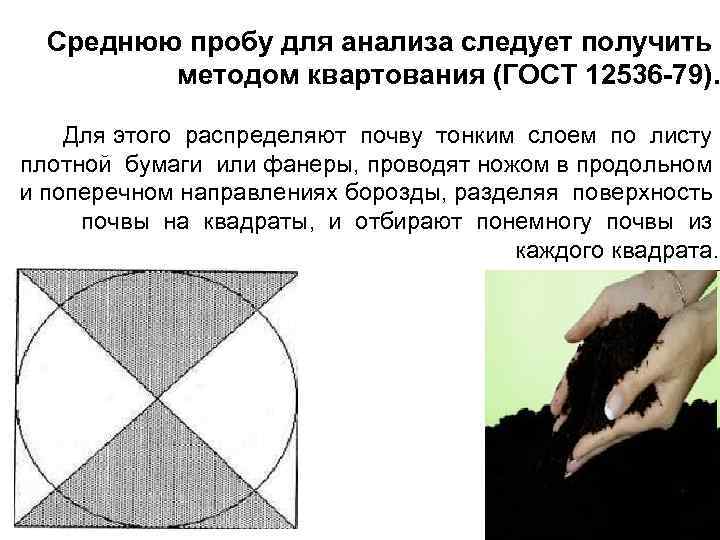  Среднюю пробу для анализа следует получить   методом квартования (ГОСТ 12536 -79).