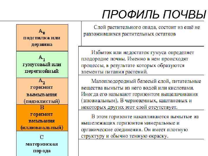 ПРОФИЛЬ ПОЧВЫ 