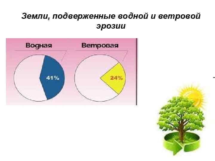 Земли, подверженные водной и ветровой   эрозии 