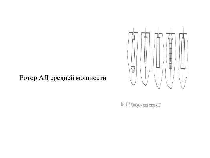 Ротор АД средней мощности 