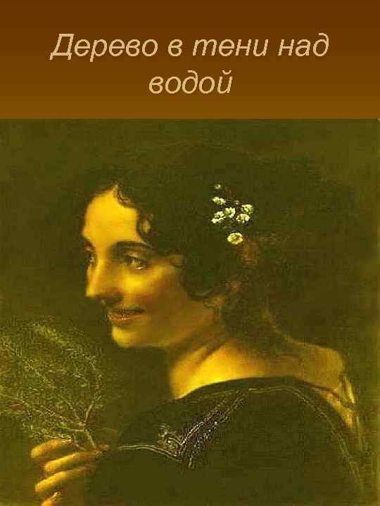Дерево в тени над водой 