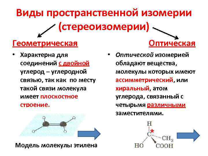  Виды пространственной изомерии   (стереоизомерии) Геометрическая     Оптическая •