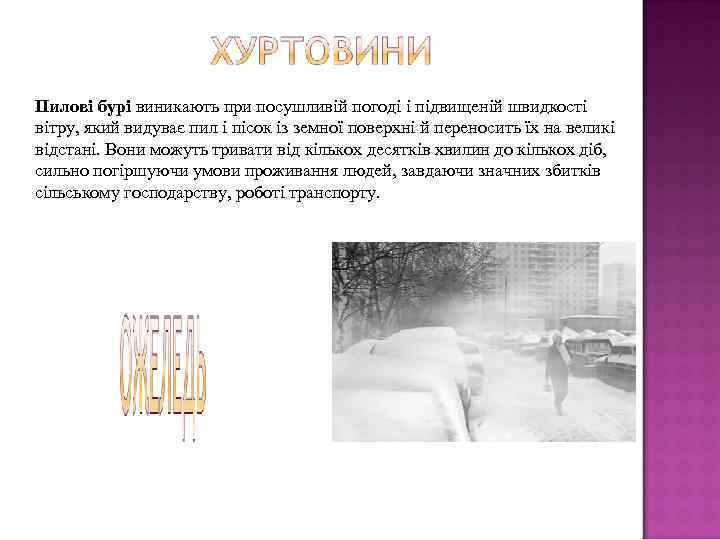 Пилові бурі виникають при посушливій погоді і підвищеній швидкості вітру, який видуває пил і