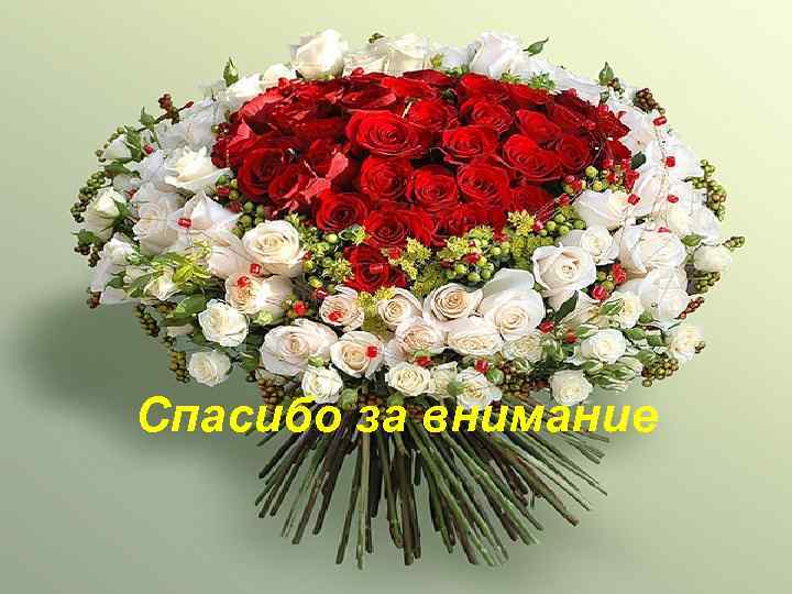 Назар аударғандарыңызға үлкен рахмет  Спасибо за внимание 