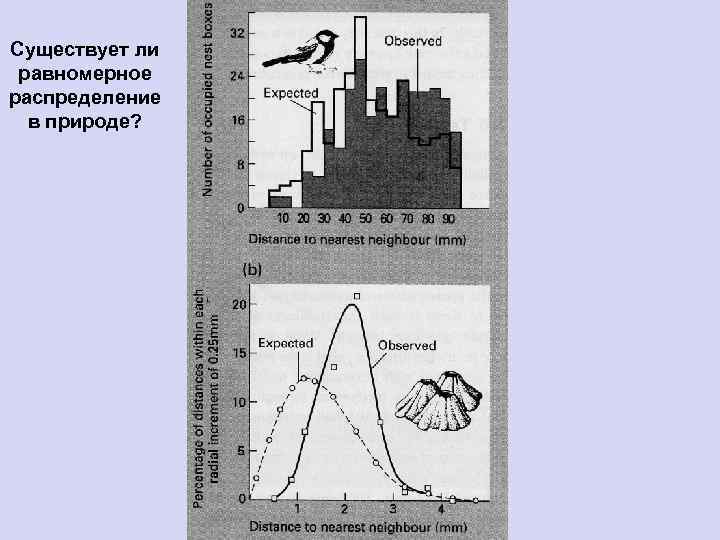 Существует ли равномерное распределение в природе? 