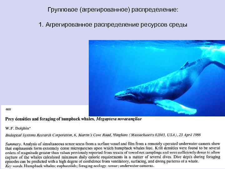 Групповое (агрегированное) распределение: 1. Агрегированное распределение ресурсов среды 