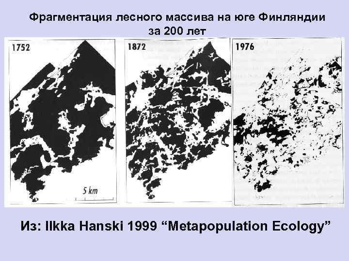Фрагментация лесного массива на юге Финляндии за 200 лет Из: Ilkka Hanski 1999 “Metapopulation