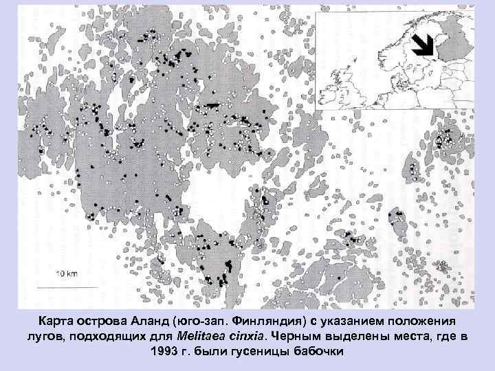 Карта острова Аланд (юго-зап. Финляндия) с указанием положения лугов, подходящих для Melitaea cinxia. Черным