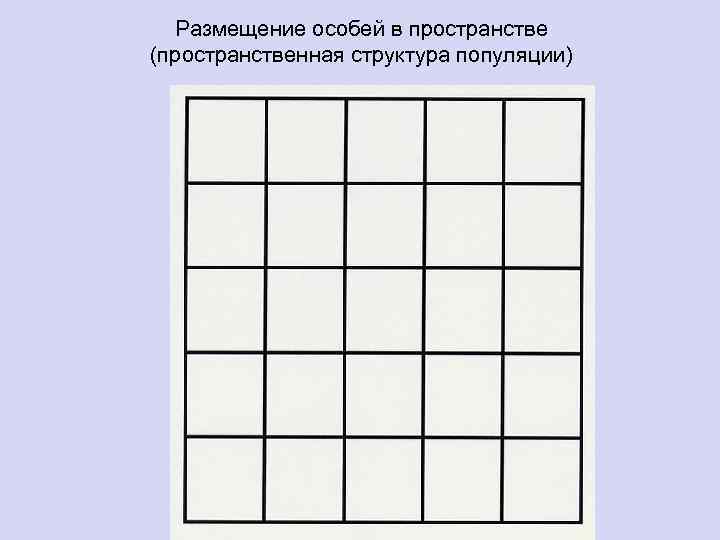 Размещение особей в пространстве (пространственная структура популяции) 