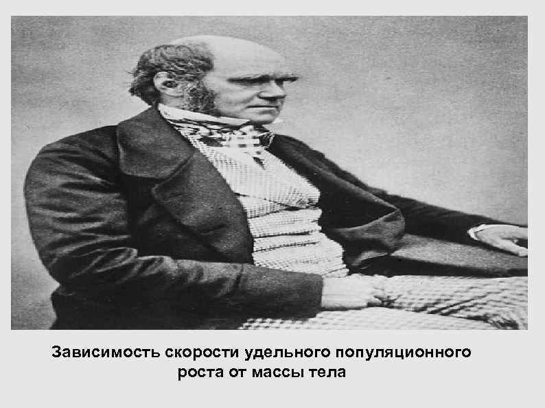 Зависимость скорости удельного популяционного роста от массы тела Зависимость скорости удельного популяционного роста от массы тела