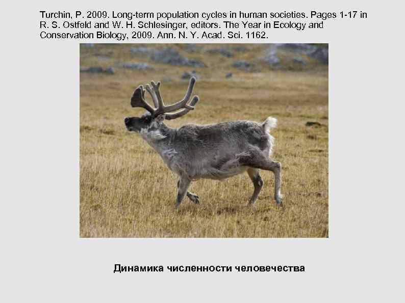 Turchin, P. 2009. Long-term population cycles in human societies. Pages 1 -17 in R. Turchin, P. 2009. Long-term population cycles in human societies. Pages 1 -17 in R.
