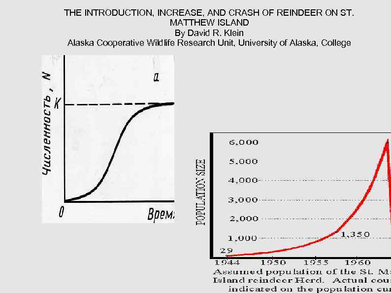 THE INTRODUCTION, INCREASE, AND CRASH OF REINDEER ON ST. MATTHEW THE INTRODUCTION, INCREASE, AND CRASH OF REINDEER ON ST. MATTHEW