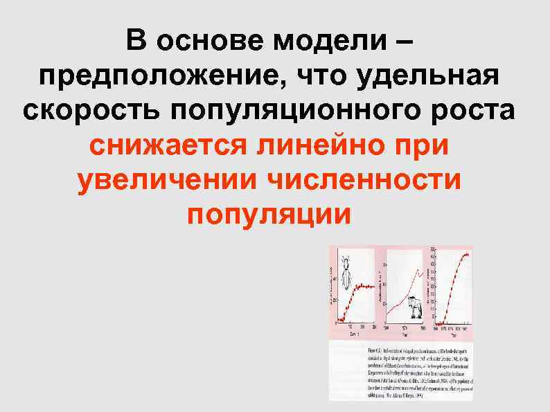 В основе модели – предположение, что удельная скорость популяционного роста снижается линейно при В основе модели – предположение, что удельная скорость популяционного роста снижается линейно при
