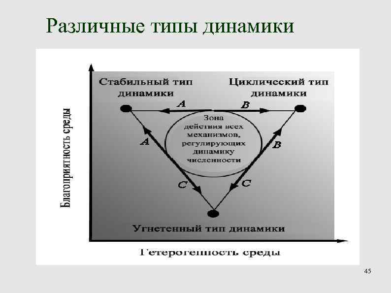 Различные типы динамики 45 Различные типы динамики 45