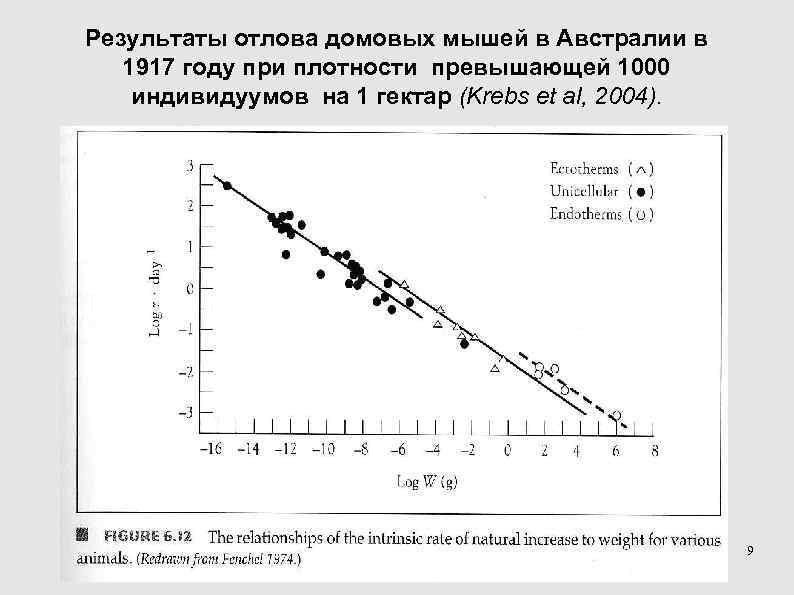 Результаты отлова домовых мышей в Австралии в 1917 году при плотности превышающей 1000 Результаты отлова домовых мышей в Австралии в 1917 году при плотности превышающей 1000