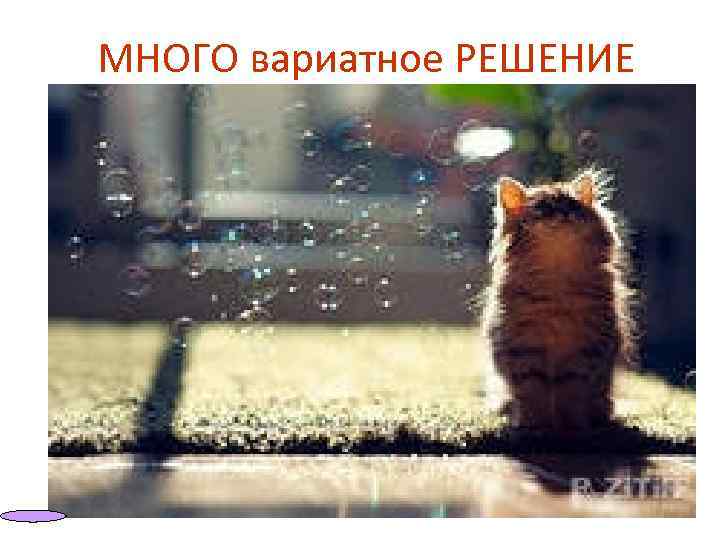 МНОГО вариатное РЕШЕНИЕ 