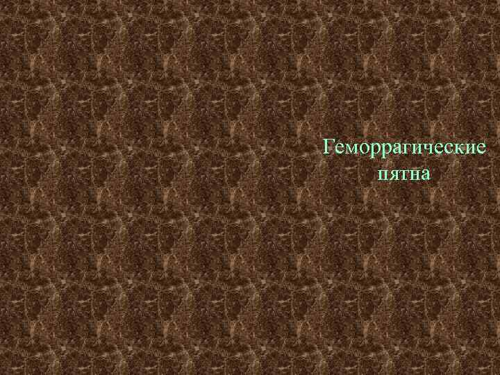 Геморрагические пятна 