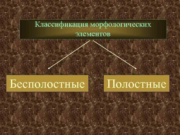  Классификация морфологических    элементов Бесполостные   Полостные 