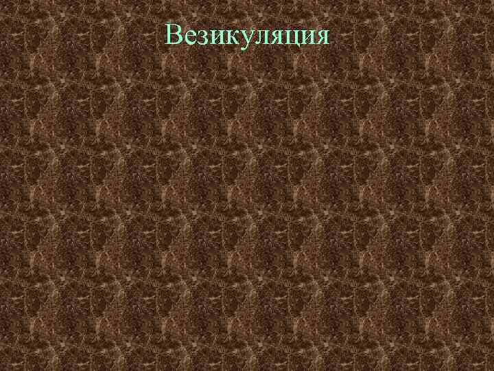 Везикуляция 