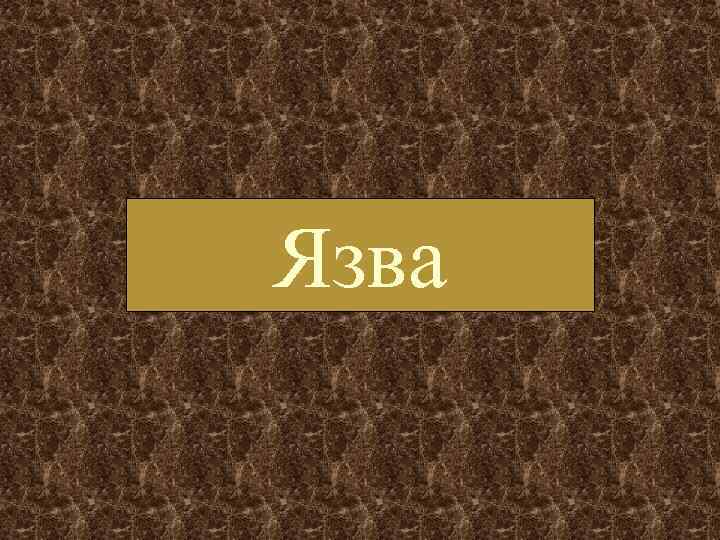 Язва 