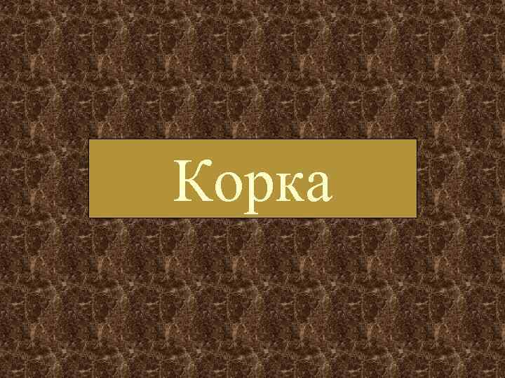 Корка 