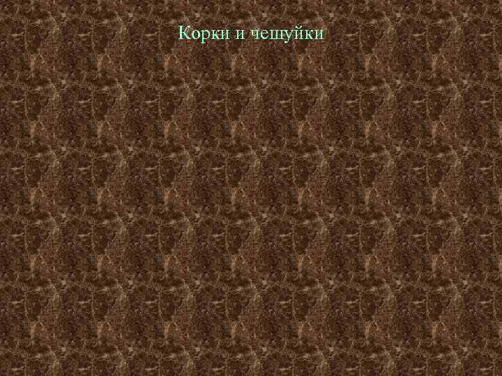Корки и чешуйки 