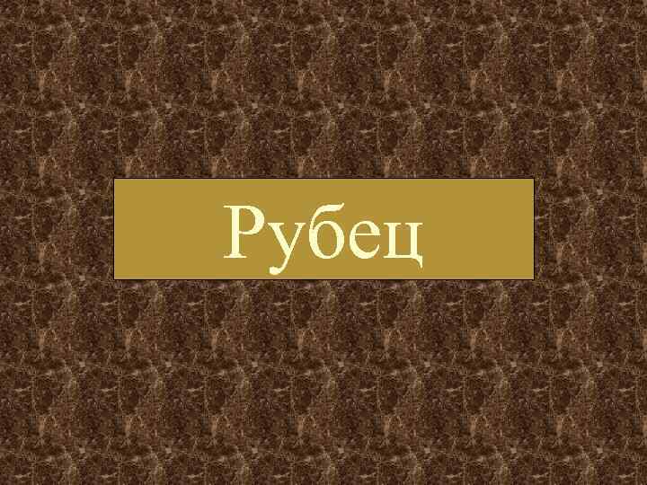 Рубец 