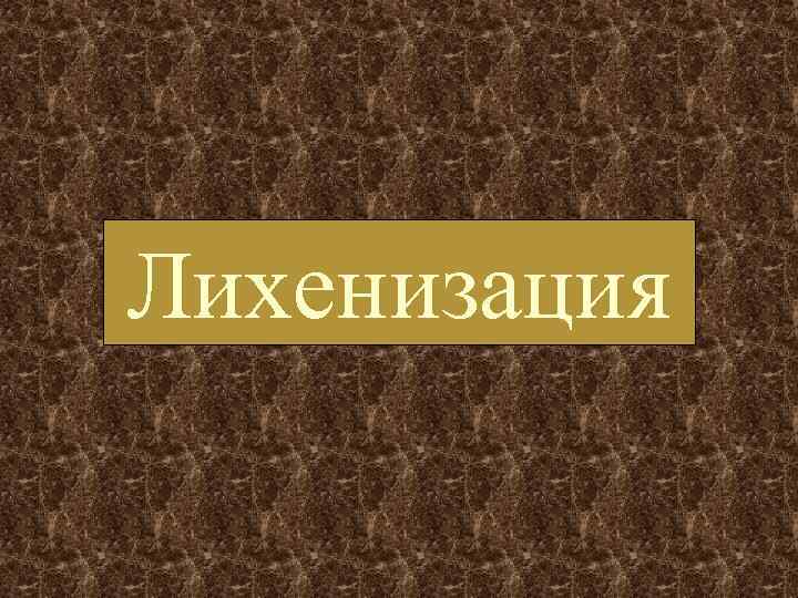Лихенизация 