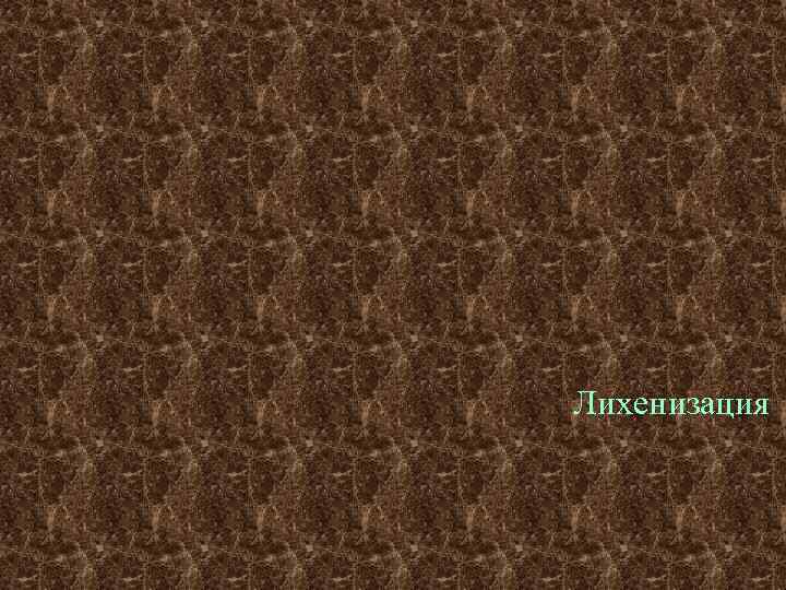 Лихенизация 