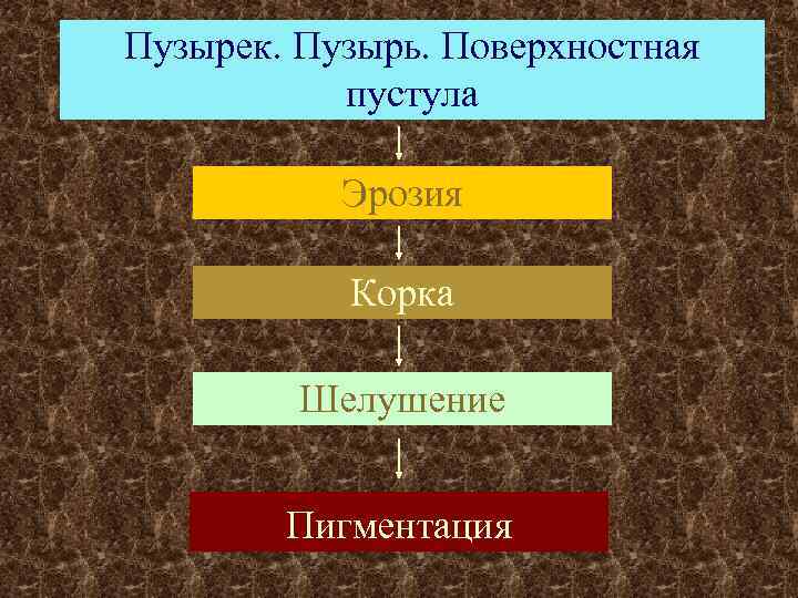 Пузырек. Пузырь. Поверхностная  пустула   Эрозия   Корка  Шелушение 