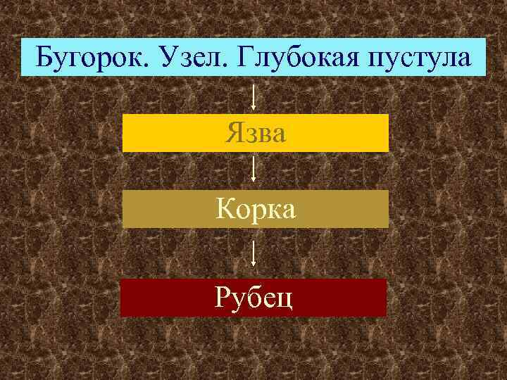 Бугорок. Узел. Глубокая пустула    Язва   Корка   Рубец